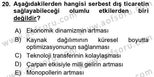 İktisadi Büyüme Dersi 2015 - 2016 Yılı Tek Ders Sınav Soruları 20. Soru