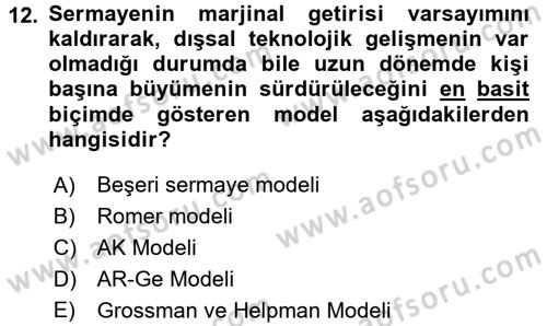 İktisadi Büyüme Dersi 2016 - 2017 Yılı 3 Ders Sınavı 12. Soru