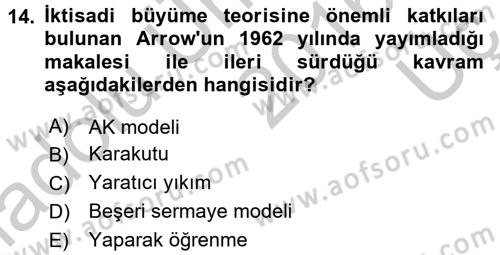 İktisadi Büyüme Dersi 2016 - 2017 Yılı 3 Ders Sınav Soruları 14. Soru