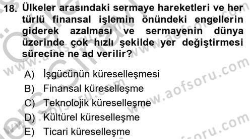İktisadi Büyüme Dersi 2016 - 2017 Yılı 3 Ders Sınav Soruları 18. Soru