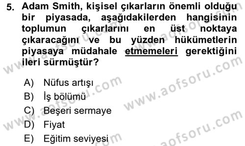İktisadi Büyüme Dersi 2016 - 2017 Yılı 3 Ders Sınav Soruları 5. Soru