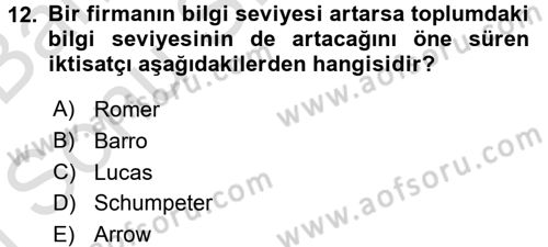 İktisadi Büyüme Dersi 2016 - 2017 Yılı (Final) Dönem Sonu Sınavı 12. Soru