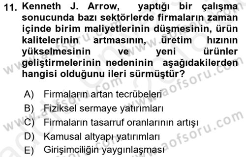 İktisadi Büyüme Dersi 2017 - 2018 Yılı 3 Ders Sınav Soruları 11. Soru
