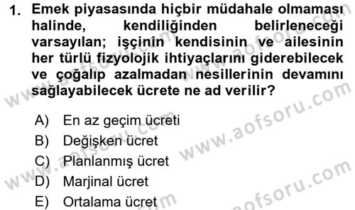 İktisadi Büyüme Dersi 2017 - 2018 Yılı (Final) Dönem Sonu Sınav Soruları 1. Soru
