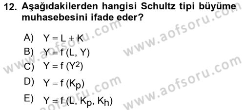 İktisadi Büyüme Dersi 2017 - 2018 Yılı (Final) Dönem Sonu Sınav Soruları 12. Soru