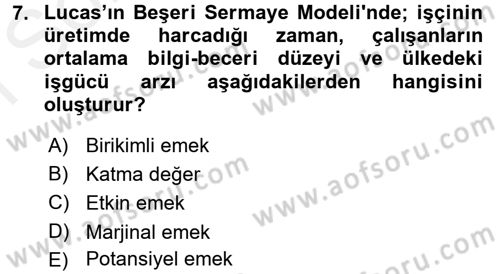 İktisadi Büyüme Dersi 2017 - 2018 Yılı (Final) Dönem Sonu Sınav Soruları 7. Soru