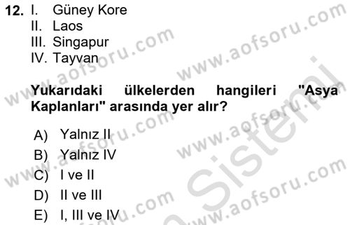 İktisadi Büyüme Dersi 2018 - 2019 Yılı 3 Ders Sınav Soruları 12. Soru