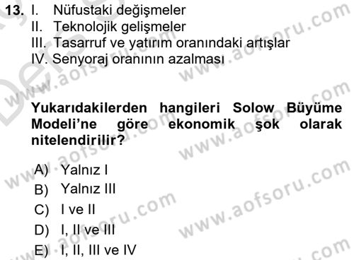 İktisadi Büyüme Dersi 2018 - 2019 Yılı 3 Ders Sınavı 13. Soru