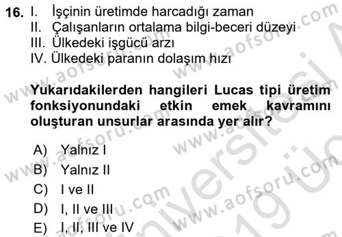 İktisadi Büyüme Dersi 2018 - 2019 Yılı 3 Ders Sınav Soruları 16. Soru