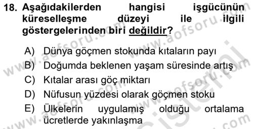 İktisadi Büyüme Dersi 2018 - 2019 Yılı 3 Ders Sınav Soruları 18. Soru