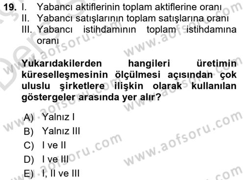 İktisadi Büyüme Dersi 2018 - 2019 Yılı 3 Ders Sınav Soruları 19. Soru