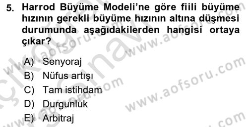İktisadi Büyüme Dersi 2018 - 2019 Yılı 3 Ders Sınav Soruları 5. Soru