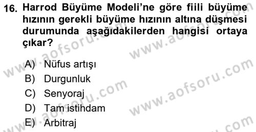 İktisadi Büyüme Dersi 2018 - 2019 Yılı (Vize) Ara Sınav Soruları 16. Soru