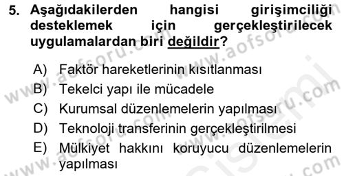 İktisadi Büyüme Dersi 2018 - 2019 Yılı (Vize) Ara Sınav Soruları 5. Soru