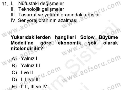 İktisadi Büyüme Dersi 2018 - 2019 Yılı (Final) Dönem Sonu Sınav Soruları 11. Soru