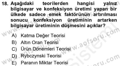 İktisadi Büyüme Dersi 2018 - 2019 Yılı (Final) Dönem Sonu Sınav Soruları 18. Soru