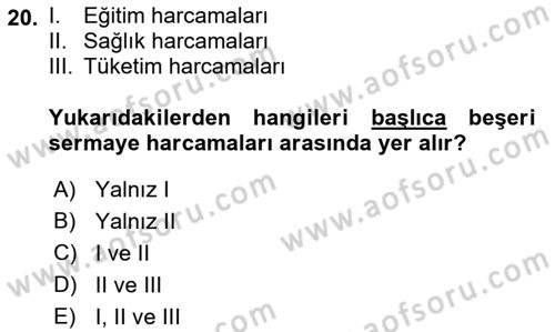 İktisadi Büyüme Dersi 2018 - 2019 Yılı (Final) Dönem Sonu Sınav Soruları 20. Soru