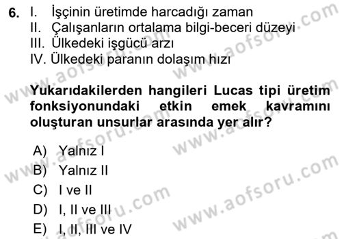 İktisadi Büyüme Dersi 2018 - 2019 Yılı (Final) Dönem Sonu Sınav Soruları 6. Soru