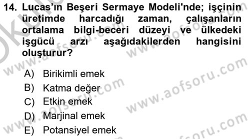 İktisadi Büyüme Dersi 2018 - 2019 Yılı Yaz Okulu Sınav Soruları 14. Soru