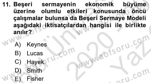 İktisadi Büyüme Dersi 2020 - 2021 Yılı Yaz Okulu Sınav Soruları 11. Soru