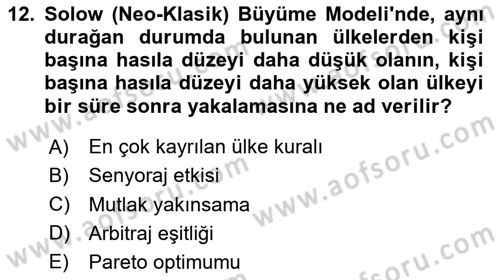 İktisadi Büyüme Dersi 2020 - 2021 Yılı Yaz Okulu Sınav Soruları 12. Soru