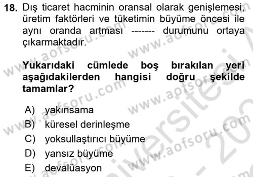 İktisadi Büyüme Dersi Yaz Okulu Sınavı Deneme Sınav Soruları 18. Soru