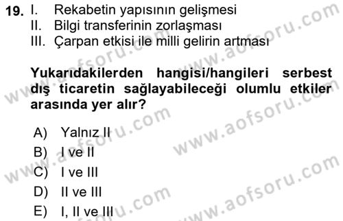 İktisadi Büyüme Dersi Yaz Okulu Sınavı Deneme Sınav Soruları 19. Soru