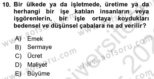 İktisadi Büyüme Dersi 2021 - 2022 Yılı (Vize) Ara Sınav Soruları 10. Soru