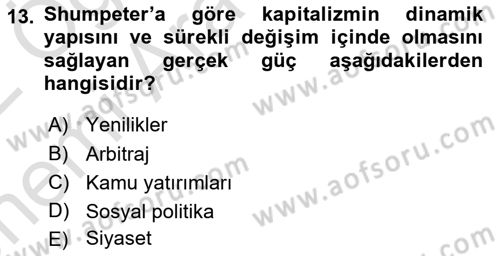 İktisadi Büyüme Dersi 2021 - 2022 Yılı (Vize) Ara Sınav Soruları 13. Soru