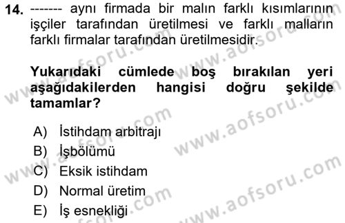İktisadi Büyüme Dersi 2021 - 2022 Yılı (Vize) Ara Sınav Soruları 14. Soru
