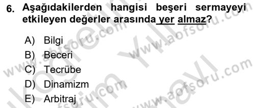İktisadi Büyüme Dersi 2021 - 2022 Yılı (Vize) Ara Sınav Soruları 6. Soru