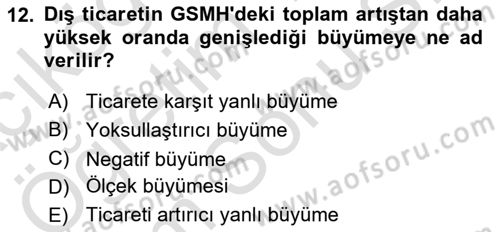 İktisadi Büyüme Dersi 2021 - 2022 Yılı (Final) Dönem Sonu Sınav Soruları 12. Soru