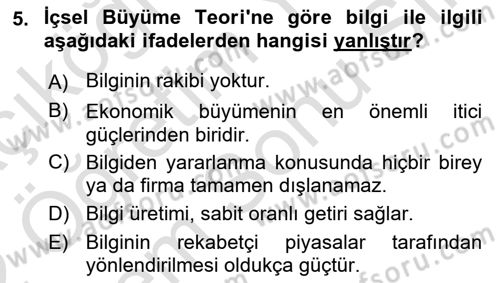 İktisadi Büyüme Dersi 2021 - 2022 Yılı (Final) Dönem Sonu Sınav Soruları 5. Soru