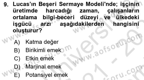 İktisadi Büyüme Dersi 2021 - 2022 Yılı (Final) Dönem Sonu Sınav Soruları 9. Soru