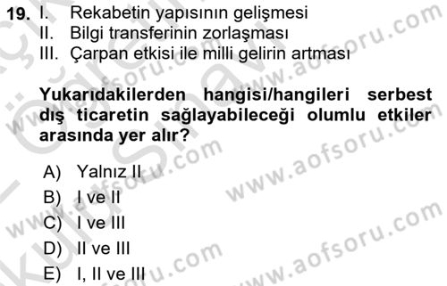 İktisadi Büyüme Dersi 2021 - 2022 Yılı Yaz Okulu Sınav Soruları 19. Soru
