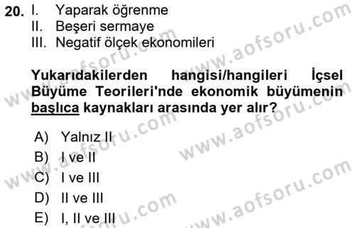 İktisadi Büyüme Dersi 2021 - 2022 Yılı Yaz Okulu Sınav Soruları 20. Soru