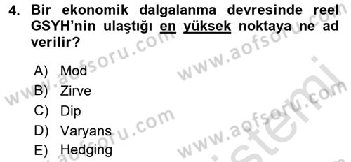 İktisadi Büyüme Dersi Yaz Okulu Sınavı Deneme Sınav Soruları 4. Soru