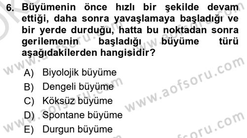 İktisadi Büyüme Dersi Yaz Okulu Sınavı Deneme Sınav Soruları 6. Soru
