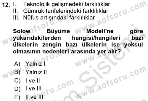 İktisadi Büyüme Dersi 2022 - 2023 Yılı Yaz Okulu Sınav Soruları 12. Soru