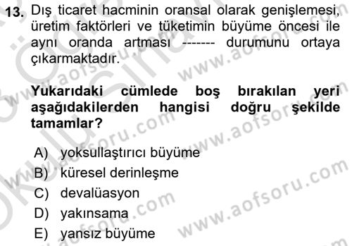 İktisadi Büyüme Dersi 2022 - 2023 Yılı Yaz Okulu Sınav Soruları 13. Soru