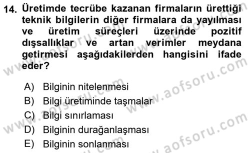 İktisadi Büyüme Dersi Yaz Okulu Sınavı Deneme Sınav Soruları 14. Soru