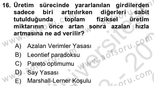 İktisadi Büyüme Dersi 2022 - 2023 Yılı Yaz Okulu Sınav Soruları 16. Soru