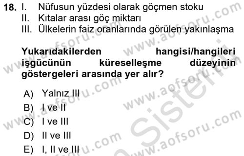 İktisadi Büyüme Dersi 2022 - 2023 Yılı Yaz Okulu Sınav Soruları 18. Soru