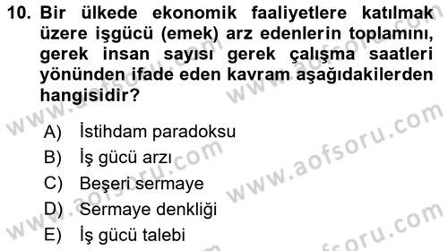 İktisadi Büyüme Dersi 2023 - 2024 Yılı (Vize) Ara Sınav Soruları 10. Soru