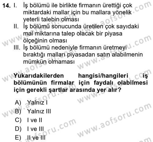İktisadi Büyüme Dersi 2023 - 2024 Yılı (Vize) Ara Sınav Soruları 14. Soru