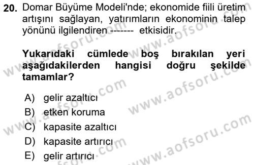 İktisadi Büyüme Dersi 2023 - 2024 Yılı (Vize) Ara Sınav Soruları 20. Soru