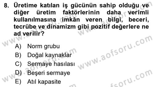 İktisadi Büyüme Dersi 2023 - 2024 Yılı (Vize) Ara Sınav Soruları 8. Soru