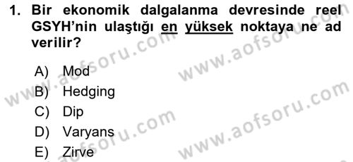 İktisadi Büyüme Dersi 2023 - 2024 Yılı (Final) Dönem Sonu Sınav Soruları 1. Soru