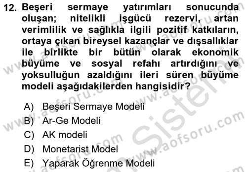 İktisadi Büyüme Dersi 2023 - 2024 Yılı (Final) Dönem Sonu Sınav Soruları 12. Soru