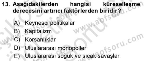 İktisadi Büyüme Dersi 2023 - 2024 Yılı (Final) Dönem Sonu Sınav Soruları 13. Soru